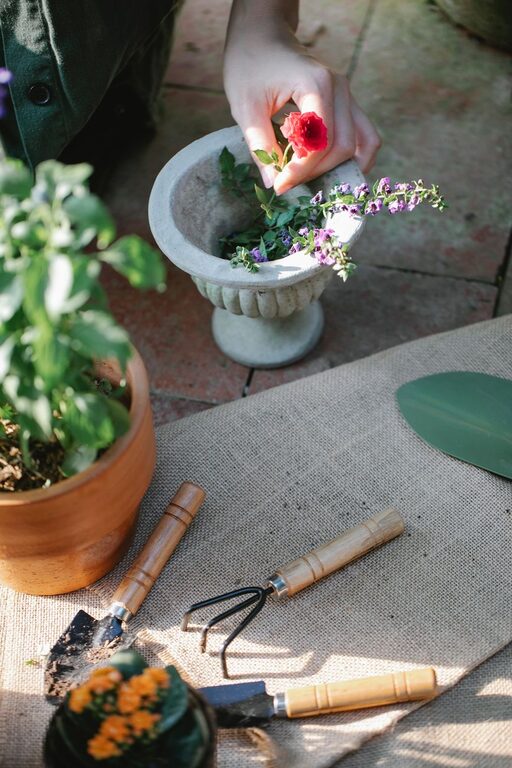 Tips for Creating a Beautiful and Functional Home Garden